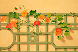 Artiste peintre Paris, Leonor Rieti